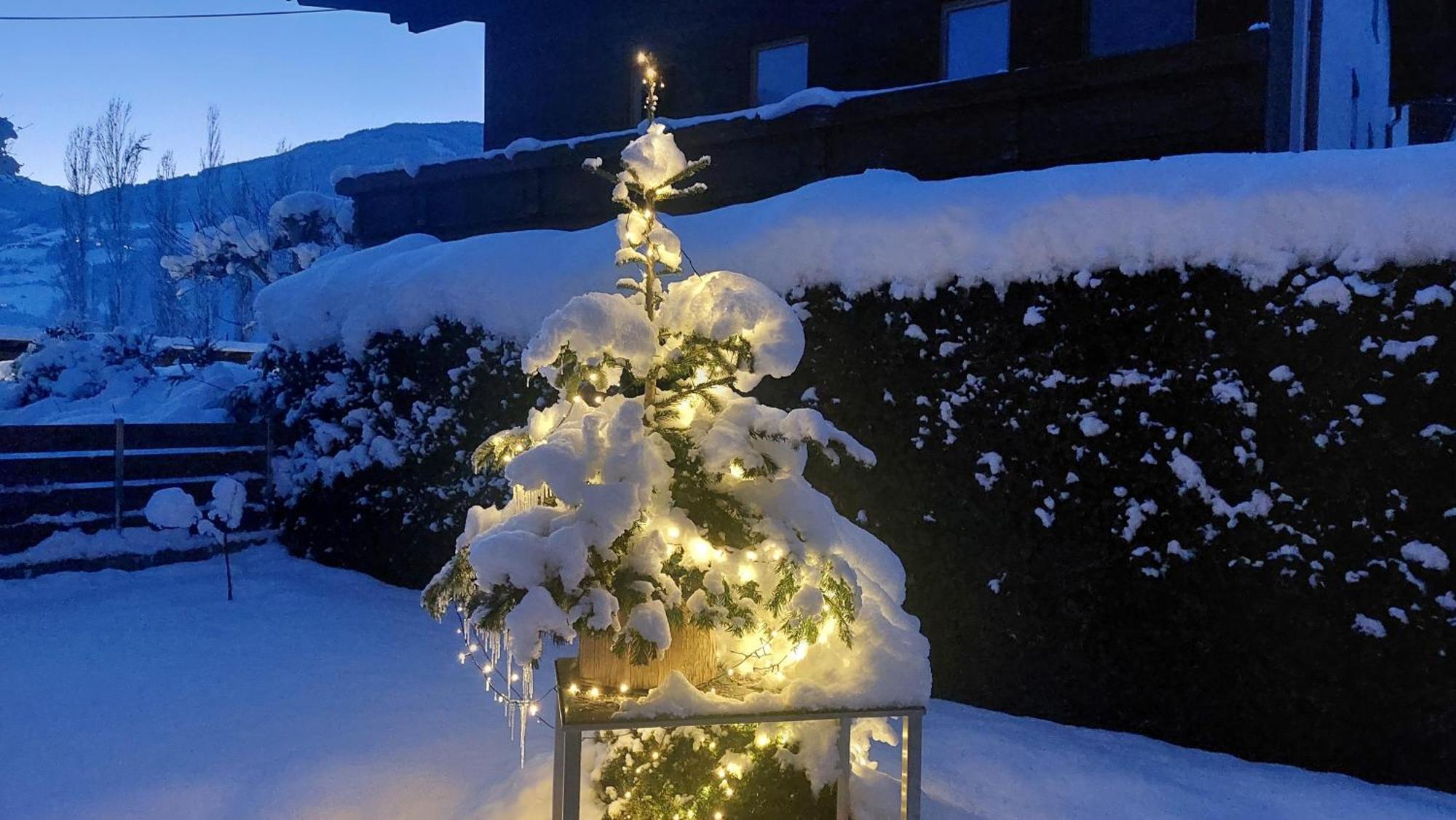 Appartement Kroell Katharina Zell am Ziller Eksteriør billede